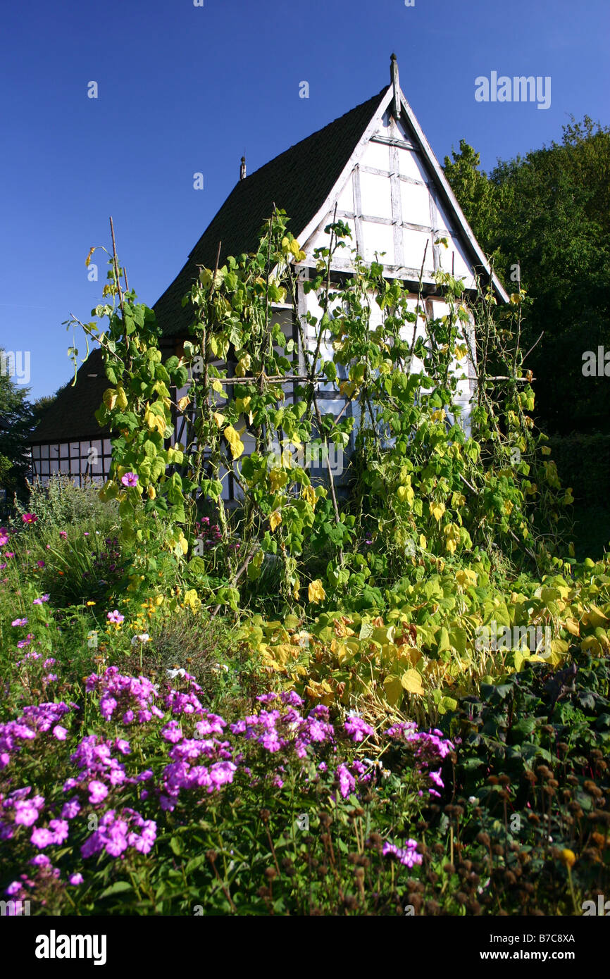 farmer's garden in front of a grain storage Stock Photo