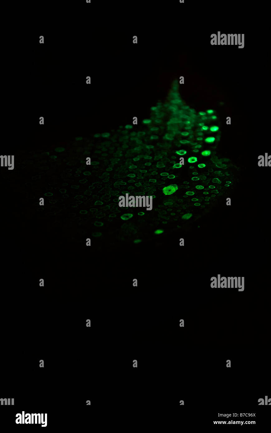 Abstract black background vertical hi-res stock photography and images ...