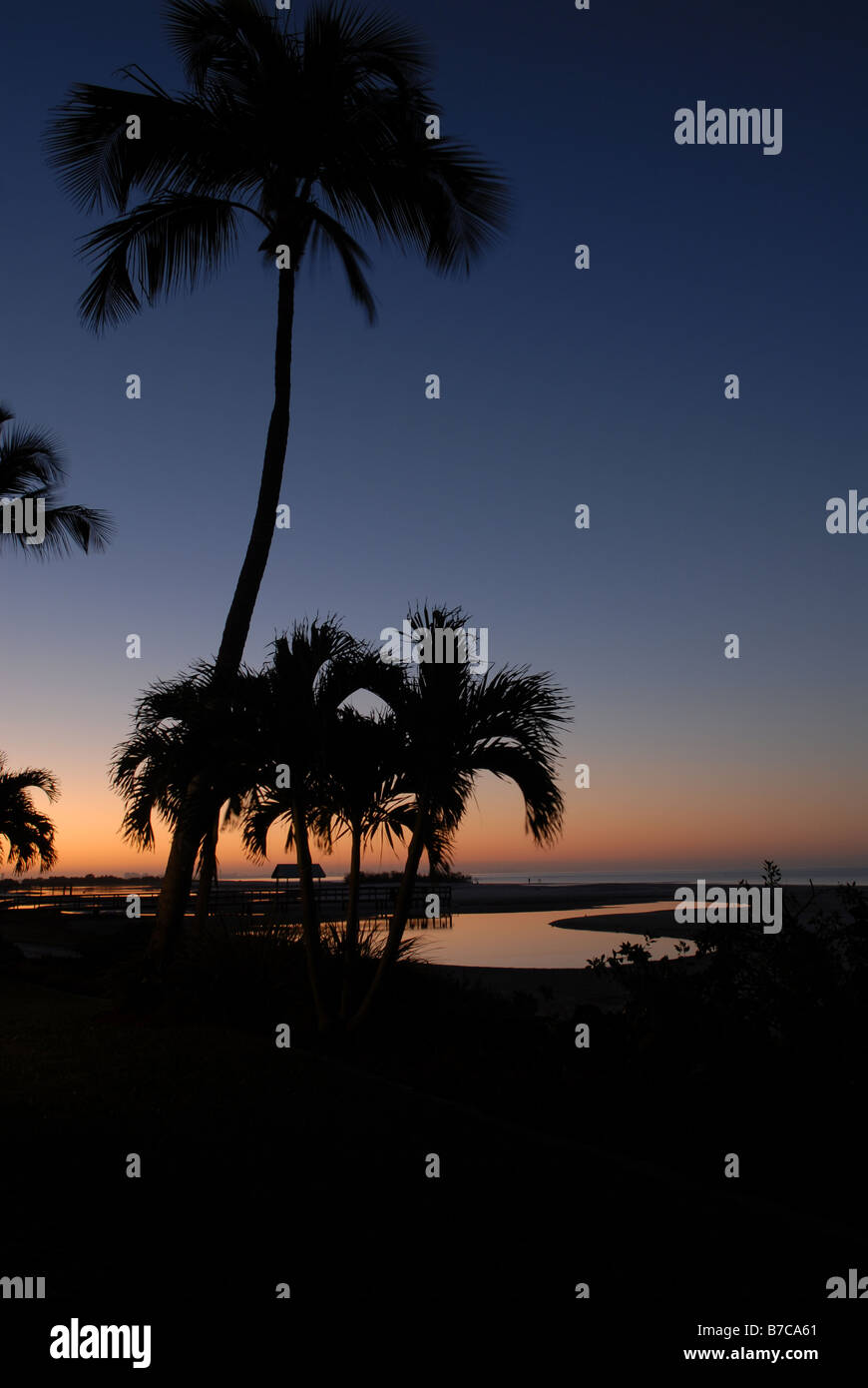 Hawaii sunset palm trees red hi-res stock photography and images - Alamy