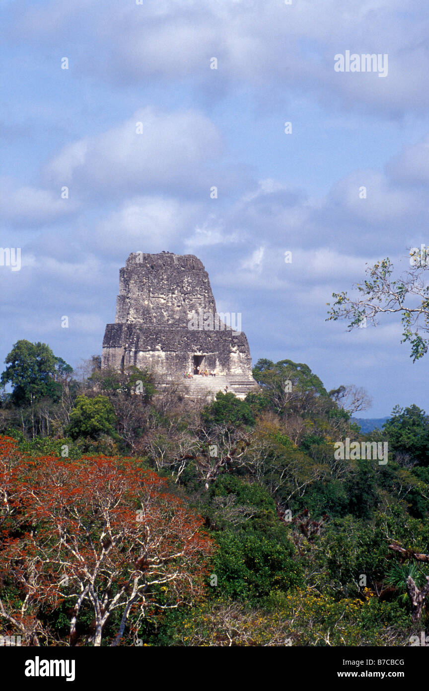 Tourists sitting atop Temple IV, the tallest structure at the Mayan ruins of Tikal in Tikal National Park, El Peten, Guatemala Stock Photo