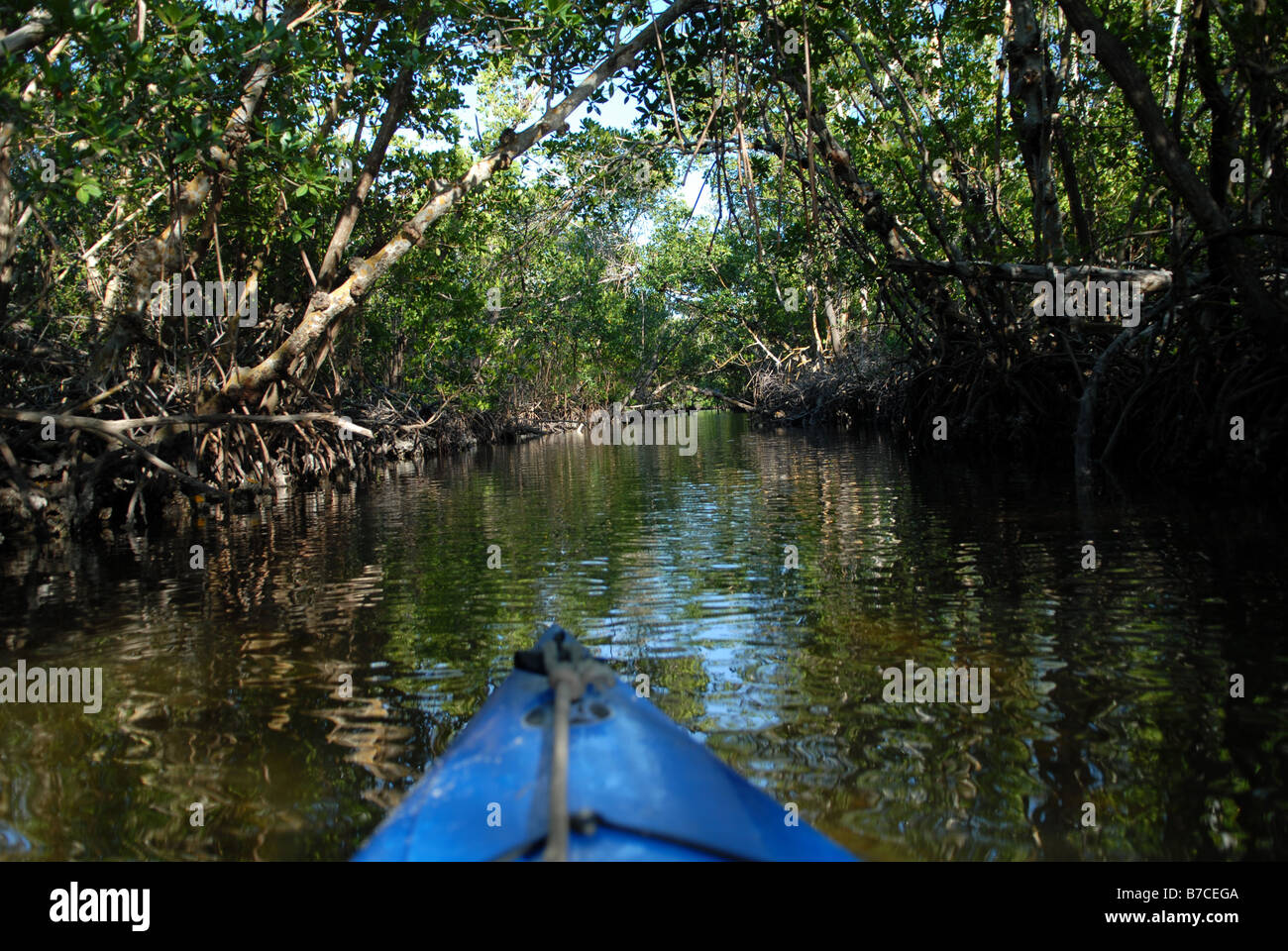 Kayaking in Florida Stock Photo