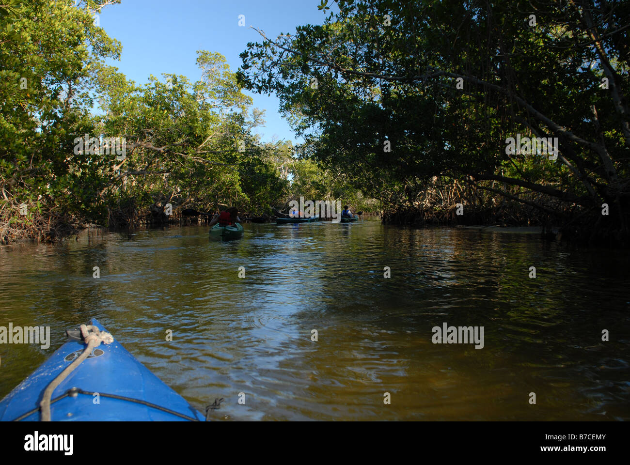Kayaking in Florida Stock Photo