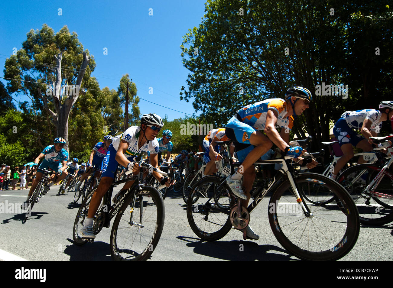 Cyclists competing in the Tour Down Under 2009 Classic Bike Race in the
