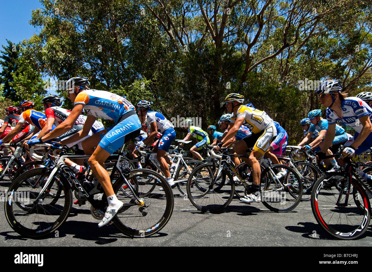 Cyclists competing in the Tour Down Under 2009 Classic Bike Race in the