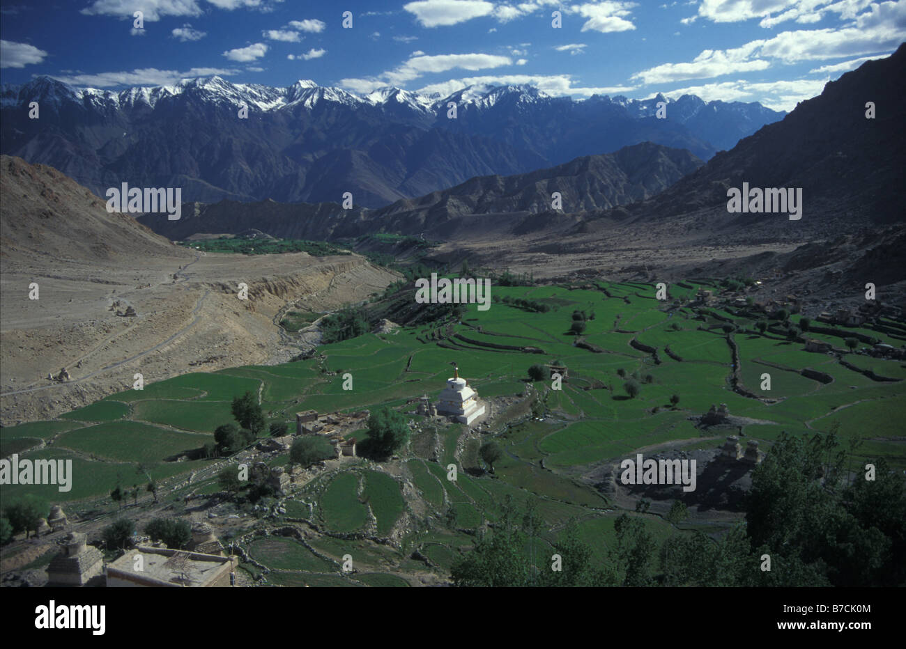 terraced fields below Likkir gompa in Himalayas Ladakh Jammu and Kashmir India Stock Photo