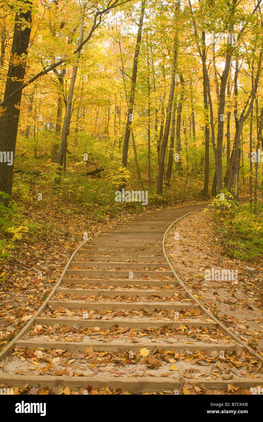 Parnell observation tower trail hires stock photography and images Alamy