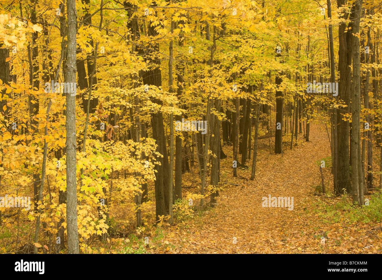 Kettle moraine state forest hires stock photography and images Alamy