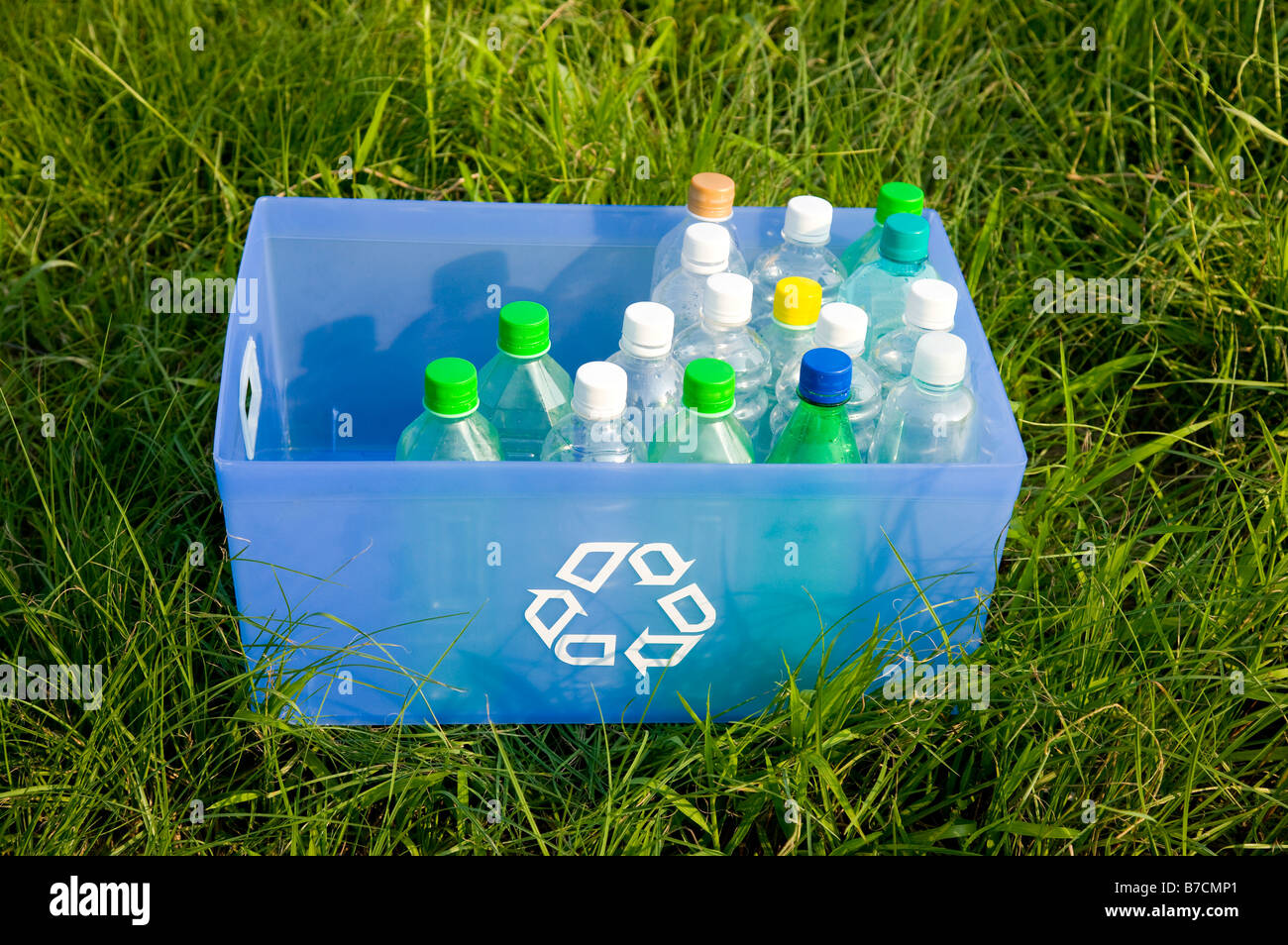 Close up of bottle bank with bottles on the lawn Stock Photo Alamy