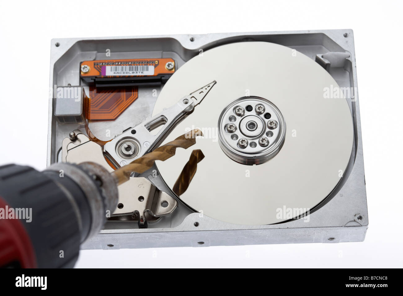 drill drilling into an opened computer hard drive on a white background Stock Photo