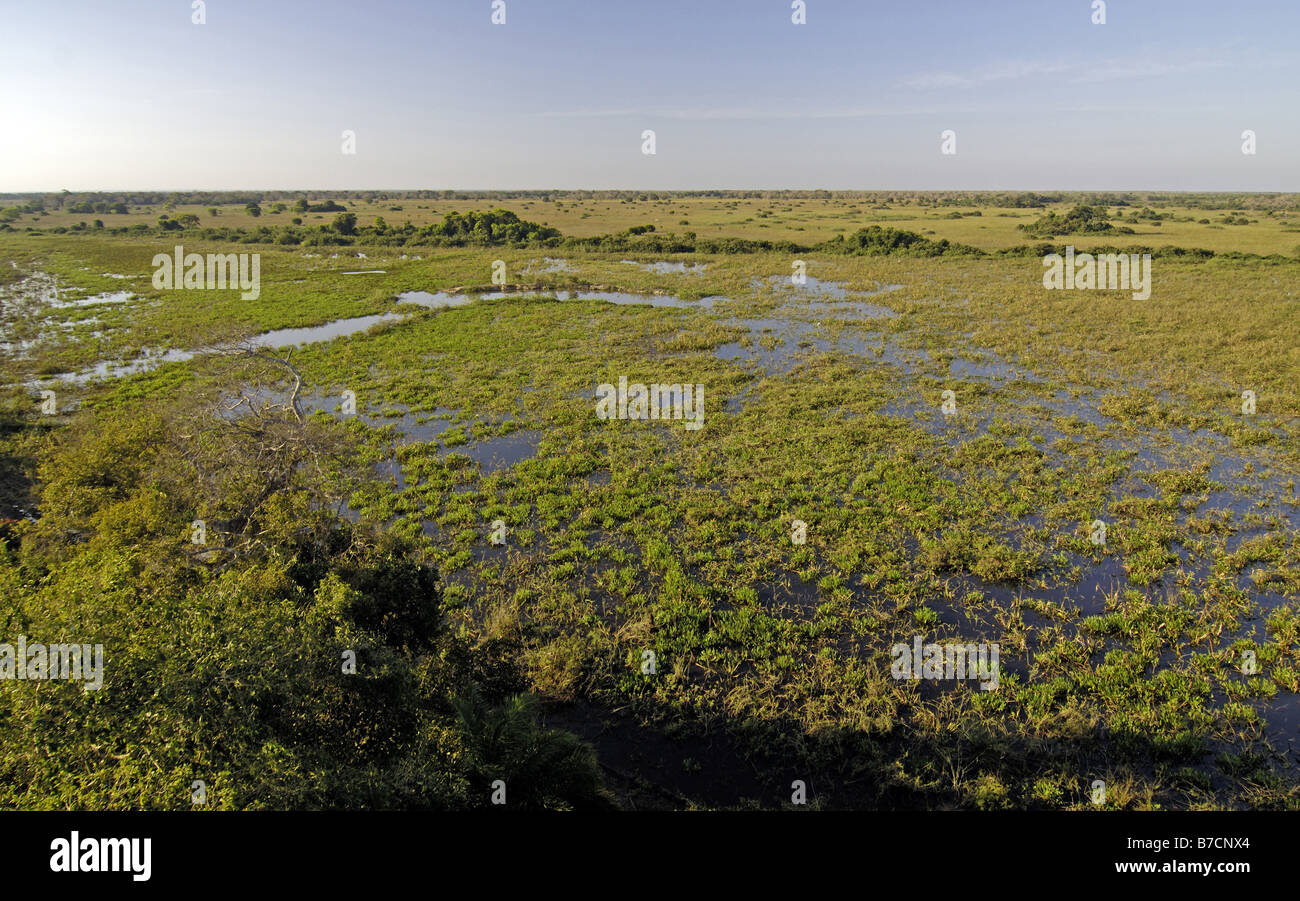 landscape at the Pantanal, Brazil, Pantanal Stock Photo