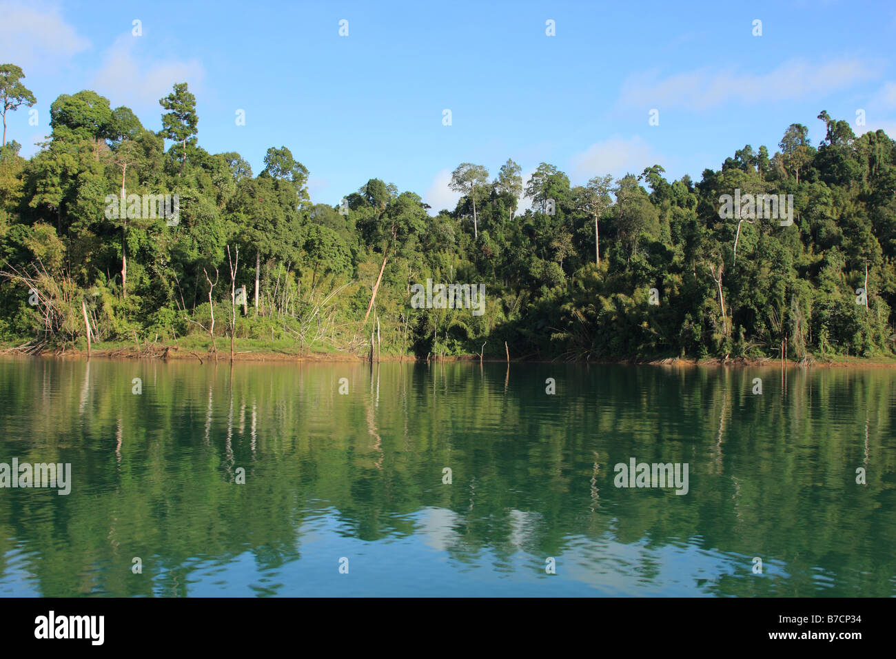 rainforest at the shore of Lake Cheow Lan, Thailand, Phuket, Khao Sok National Park Stock Photo