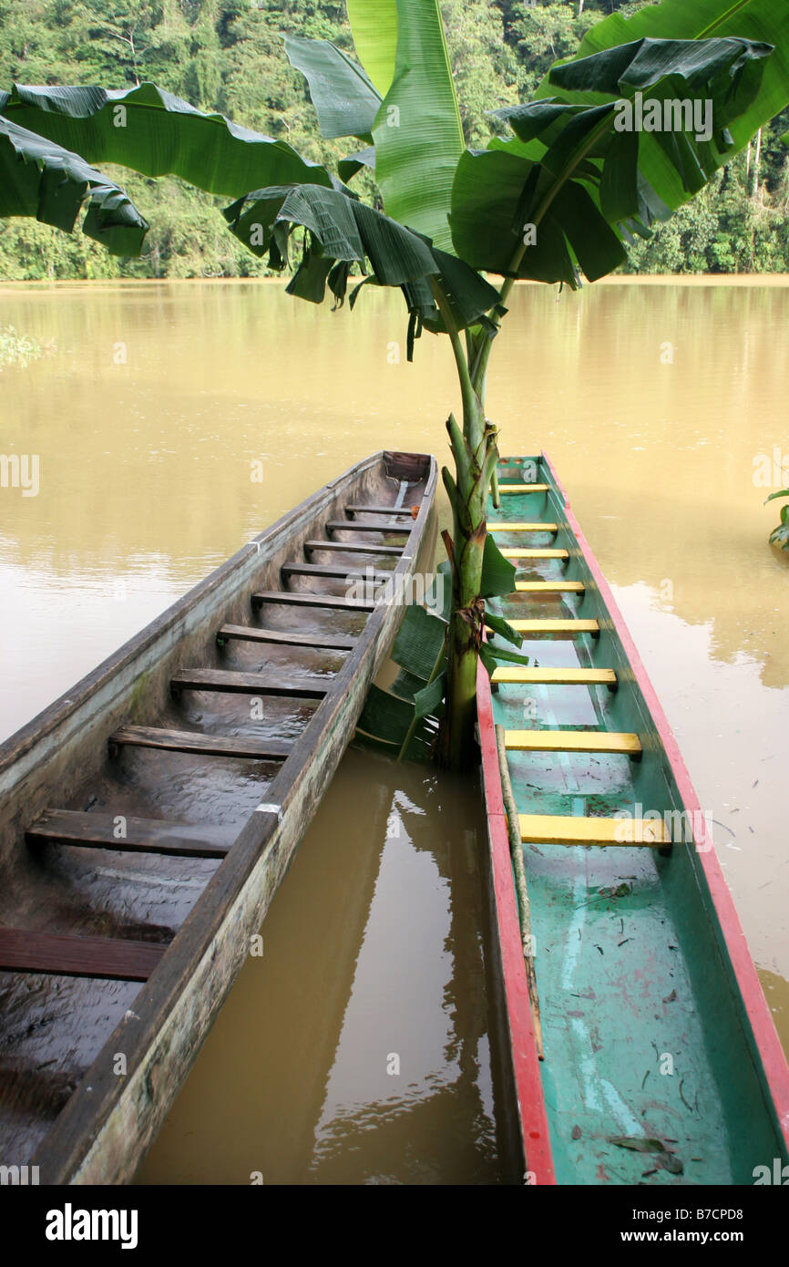 Two canoes of the Embera tribe at the Chagres River, Panama, Chagres River Nationalpark, Parar-Paru Stock Photo