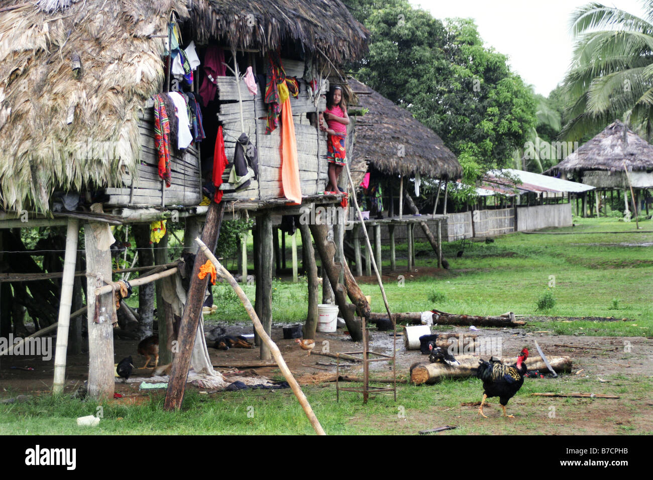 Village of the Embera Indians with palm huts, Pavarando on the Sambu River, Panama, Darien, Pavarando Stock Photo