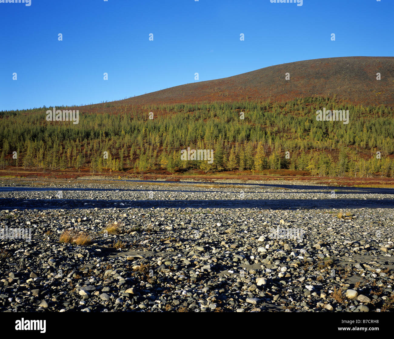 Russia. Yamal Region. Polar Urals. Autumn. Stock Photo