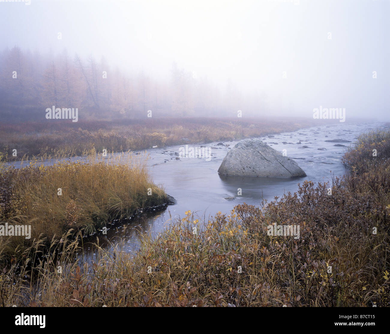 Russia. Yamal Region. Autumn Stock Photo - Alamy