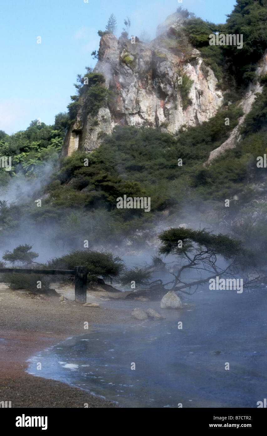 Geothermal energy at Rotorua, North Island,New Zealand Stock Photo - Alamy