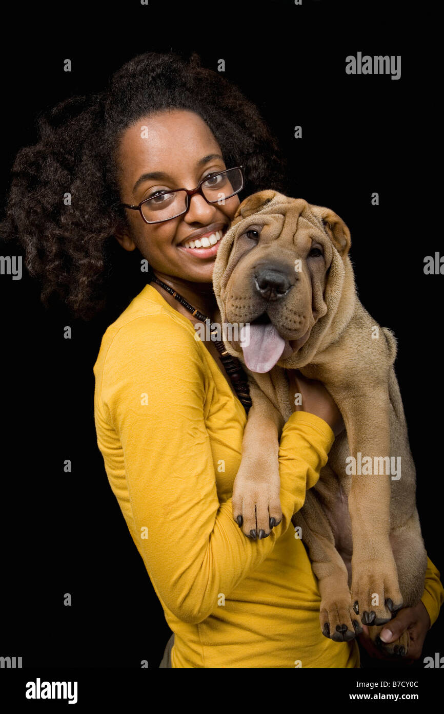 Shar pei adult hi res stock photography and images Alamy