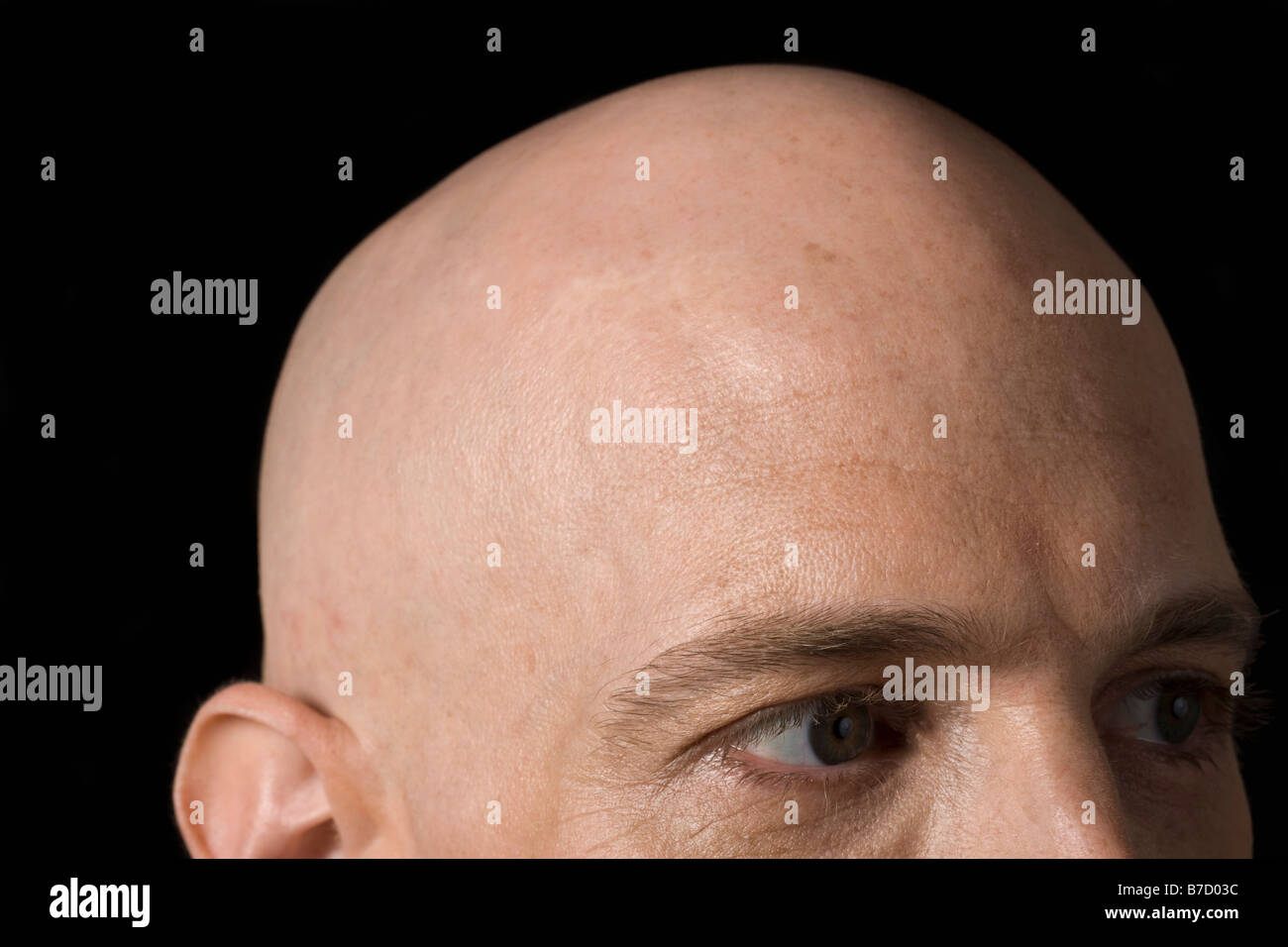 Bald head of a man Stock Photo