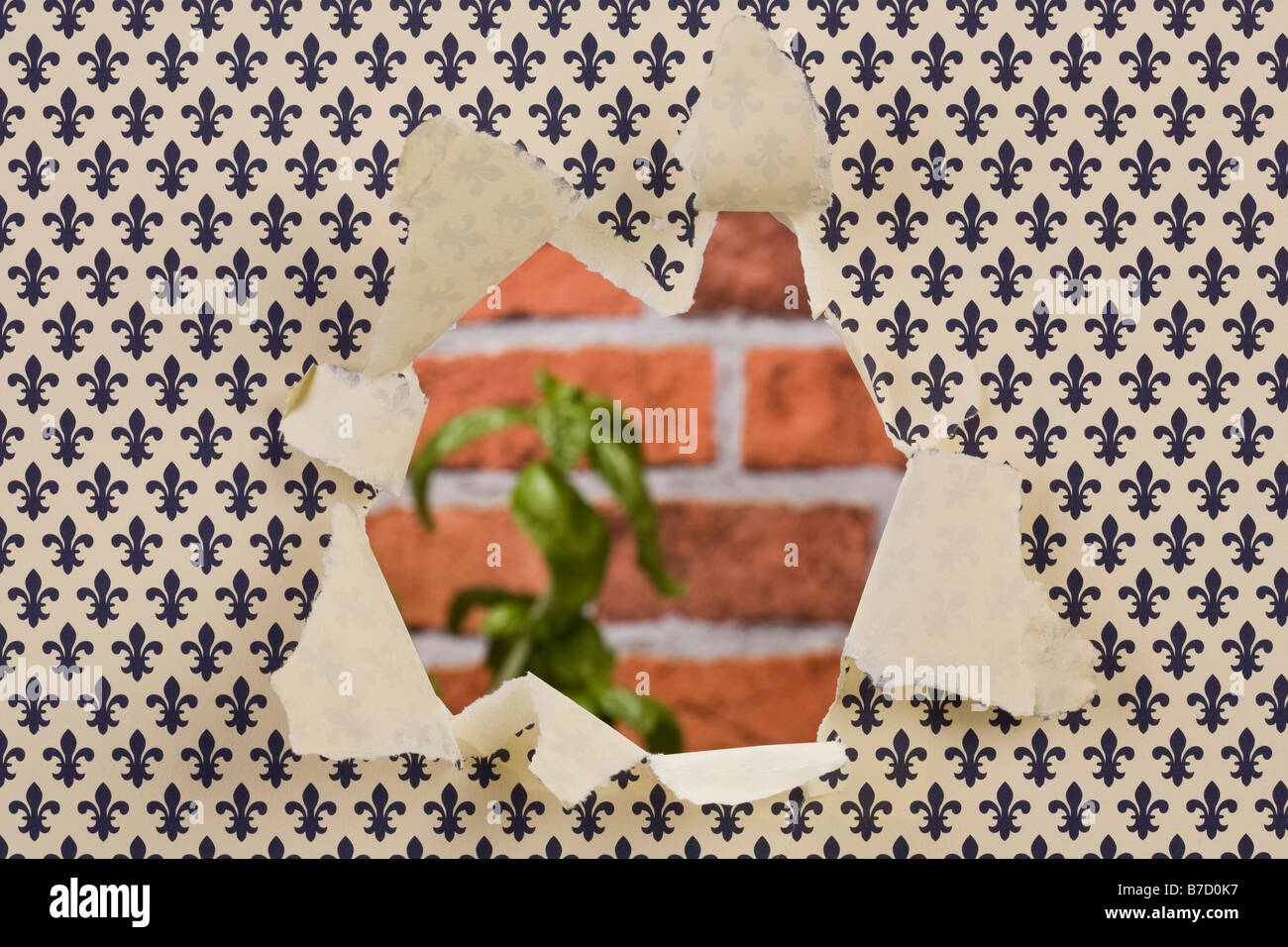 Wallpaper with a hole in it and a red brick wall in the background Stock Photo