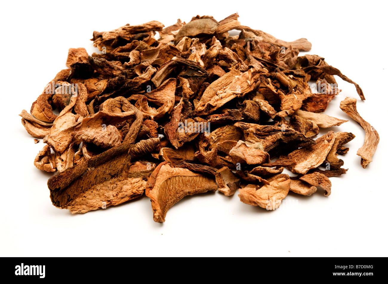 Dried Porcini on a white background Stock Photo