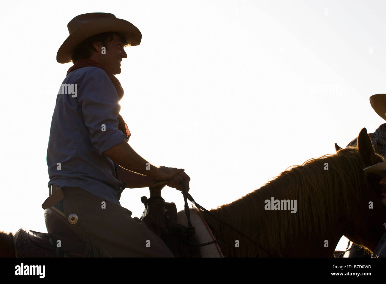 A cowboy riding a horse Stock Photo