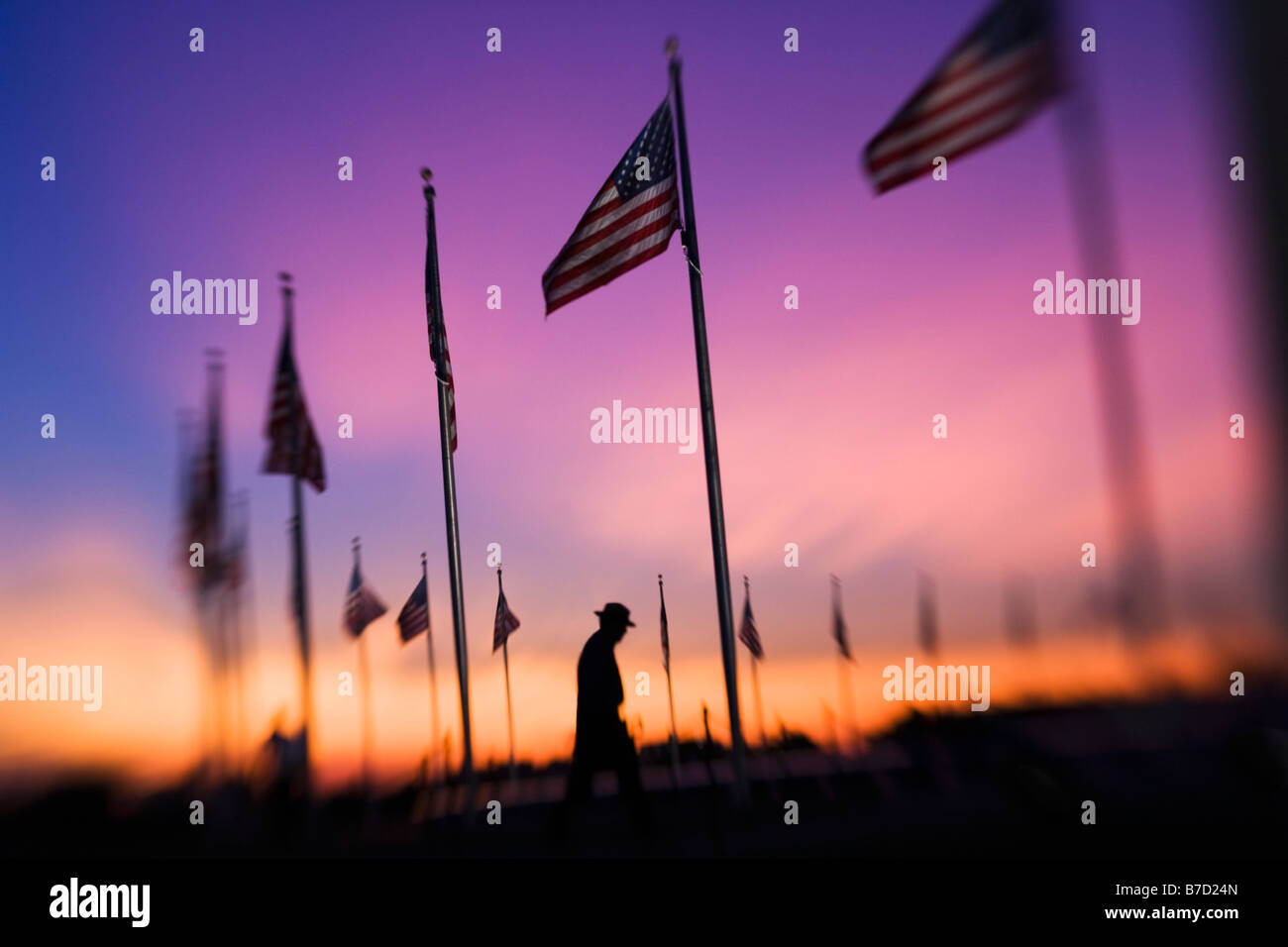Flags surrounding the Washington Monument at sunset, Washington DC, USA Stock Photo