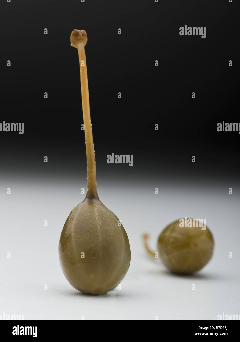 Caper berries Stock Photo Alamy