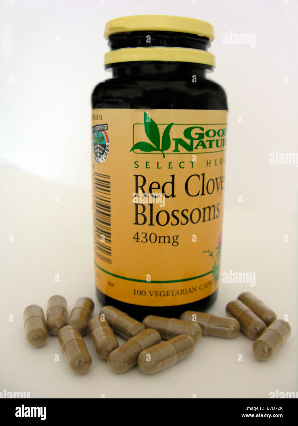 red clover is a herbal remedy for the menopause which assists in balancing female hormones and reduces hot flushes night sweats Stock Photo