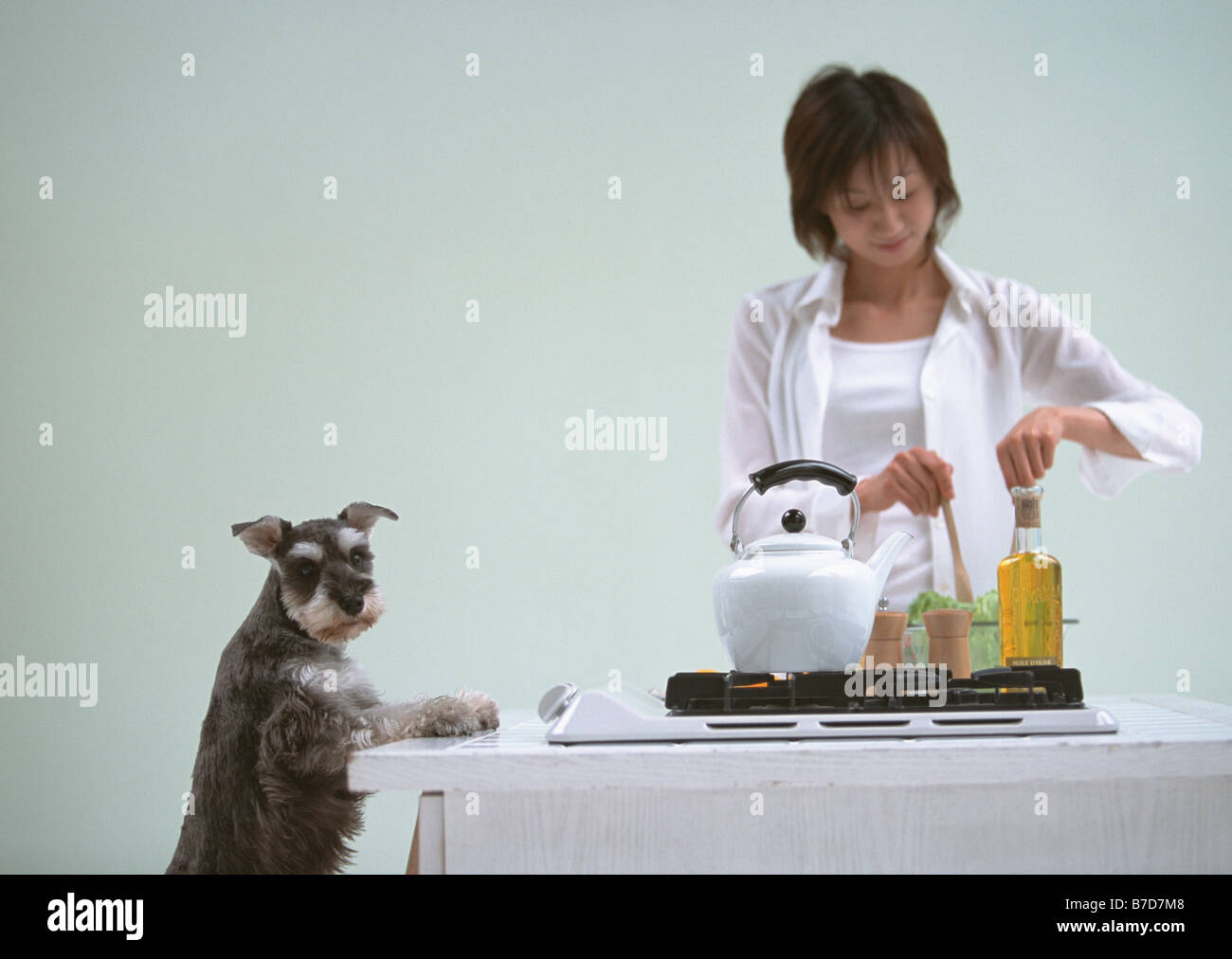 Cooking in kitchen with dog Stock Photo - Alamy