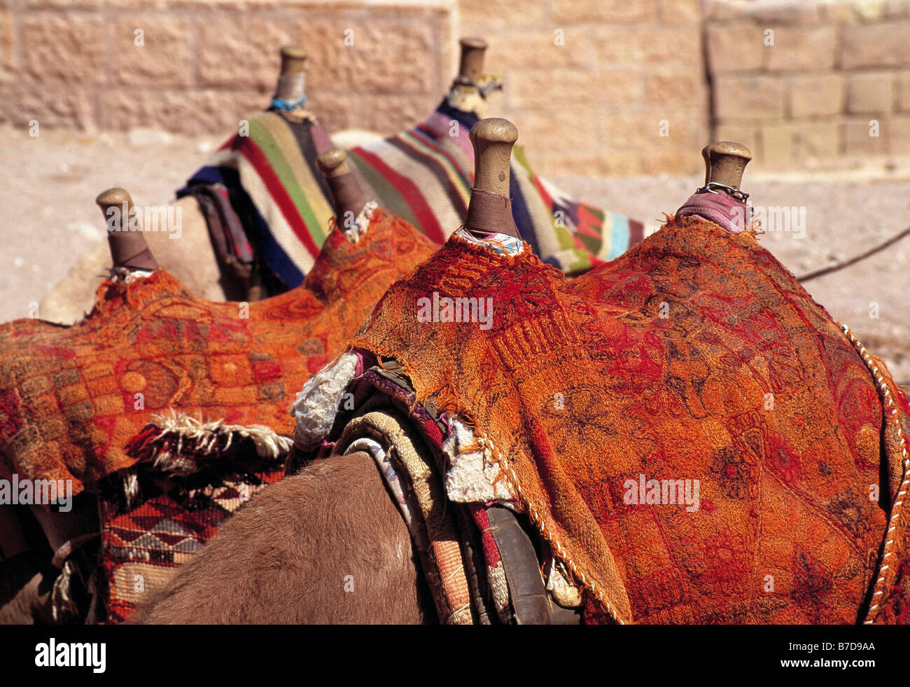 Camel saddles hi-res stock photography and images - Alamy