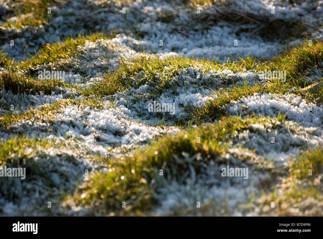 Frost covered grass winter field hi-res stock photography and images ...