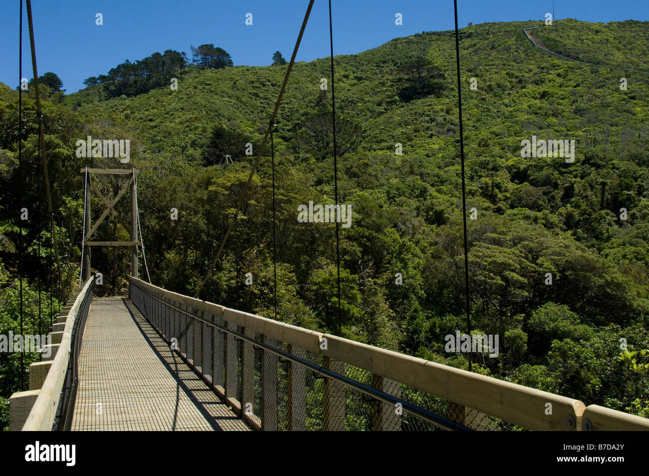 Suspended foot bridge in Karori Wildlife Sanctuary, Wellington, New Zealand Stock Photo Alamy