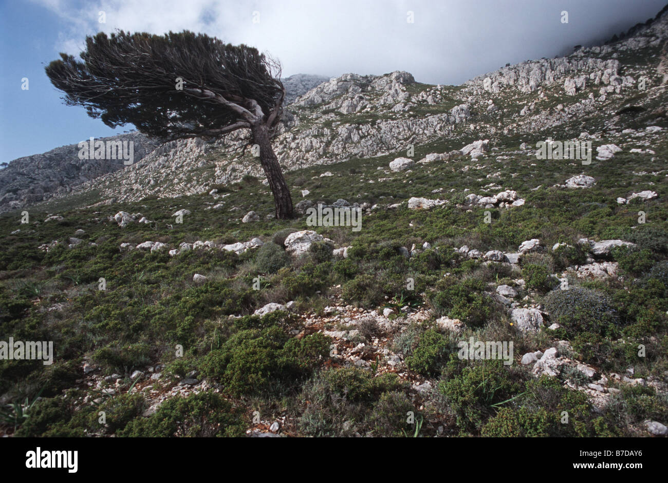 landscape on the island Karpathos, Greece, Krpathos Stock Photo