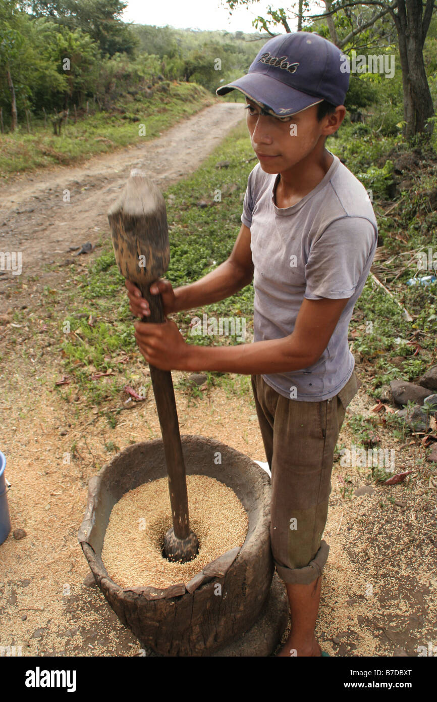 Boy threshes wheat in large wooden mortar on Ometepe Island in Lake Nicaragua, Nicaragua, Ometepe Stock Photo