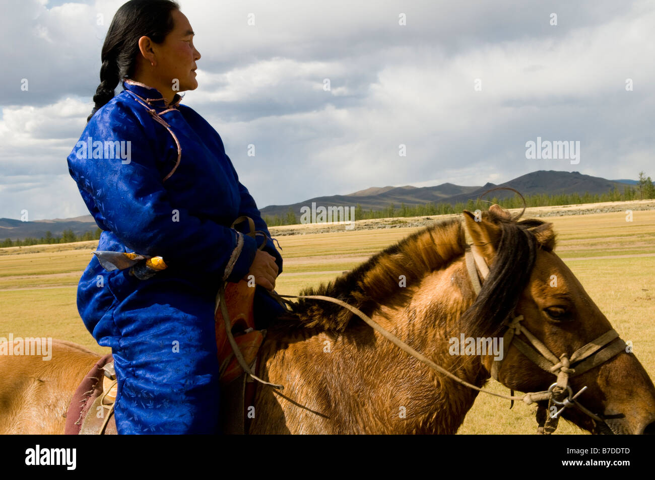 A Mongolian nomad on her horse in the vast Mongolian grasslands Stock ...