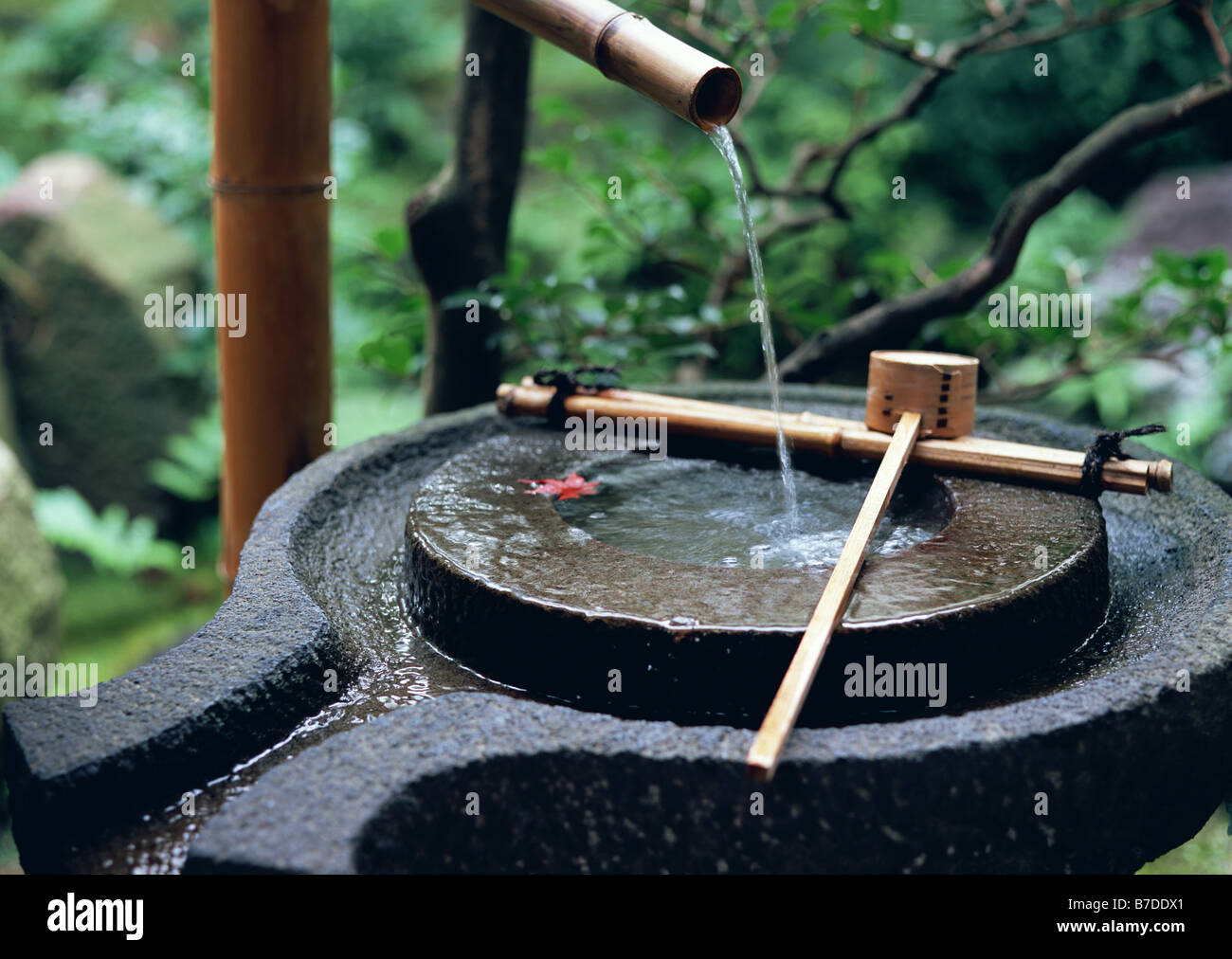 Японский цукубай