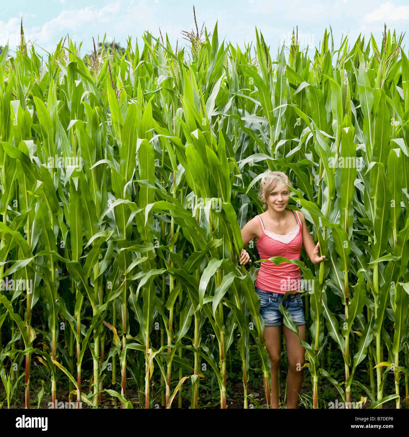 Girl in a corn field Stock Photo - Alamy