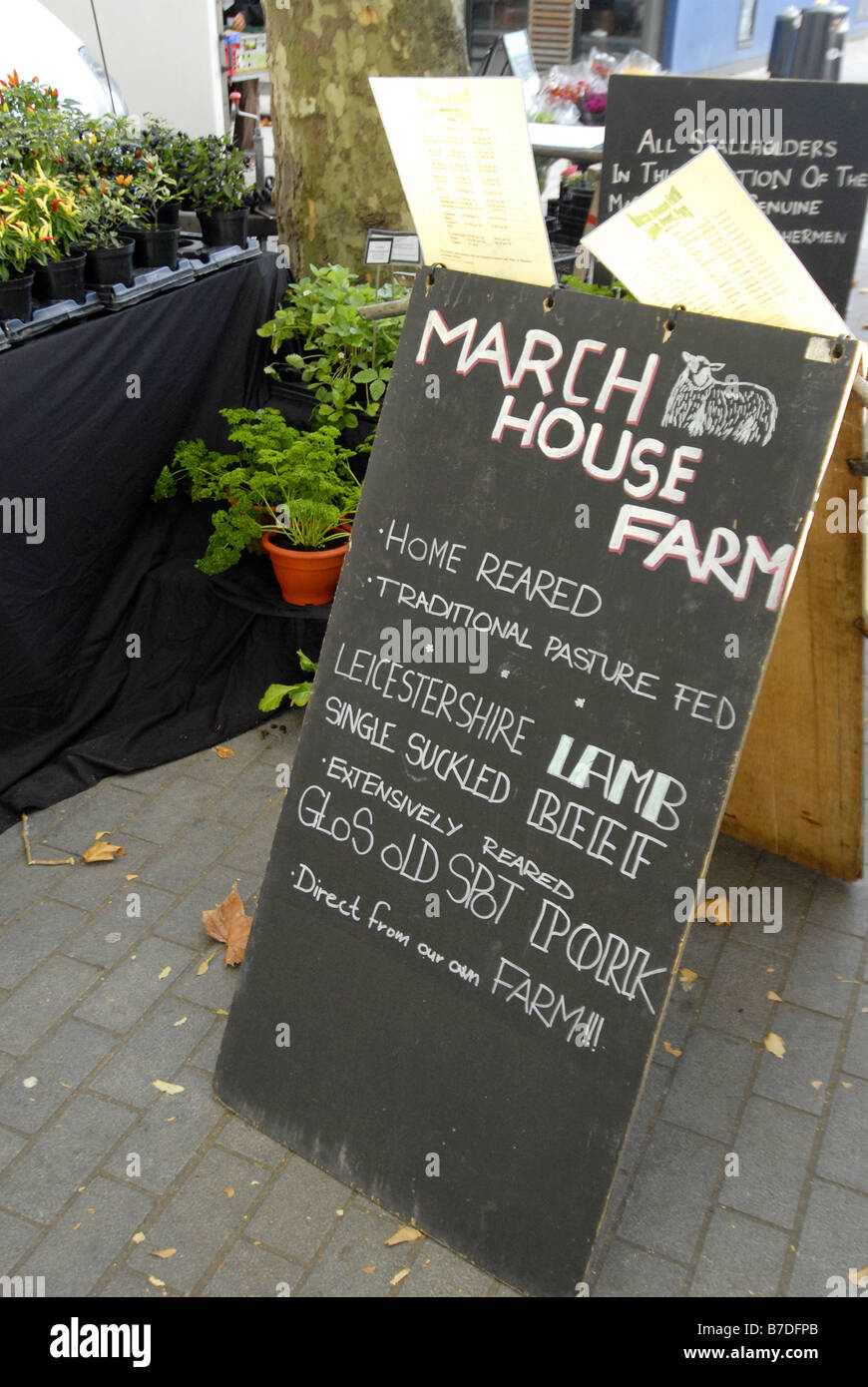 Swiss Cottage Farmers Market London Wednesday 22 October 2008