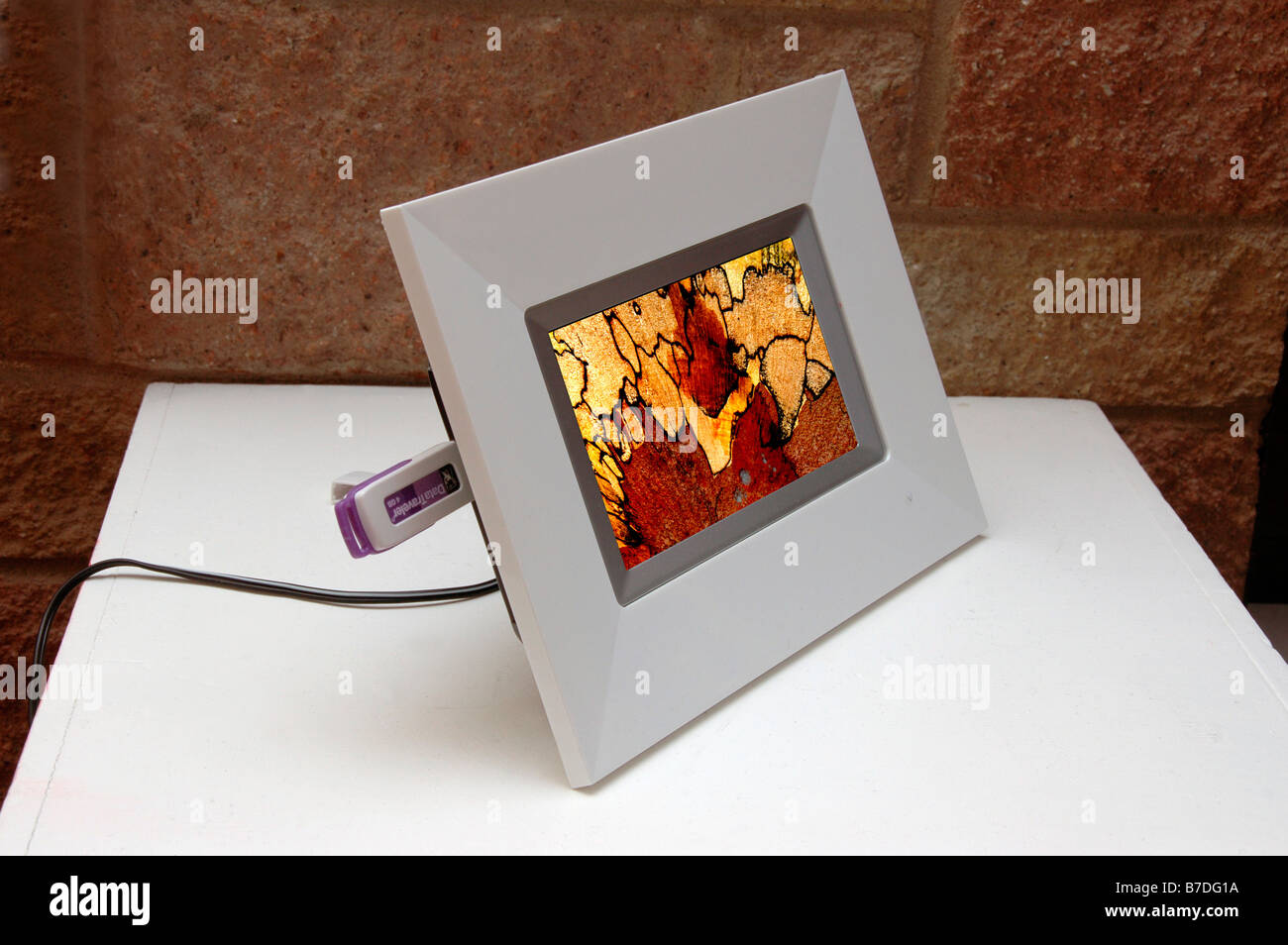 Digital photo frame hires stock photography and images Alamy