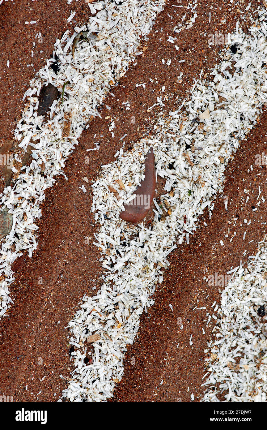 A detail of sand patterns made up with broken, crushed shells Stock ...