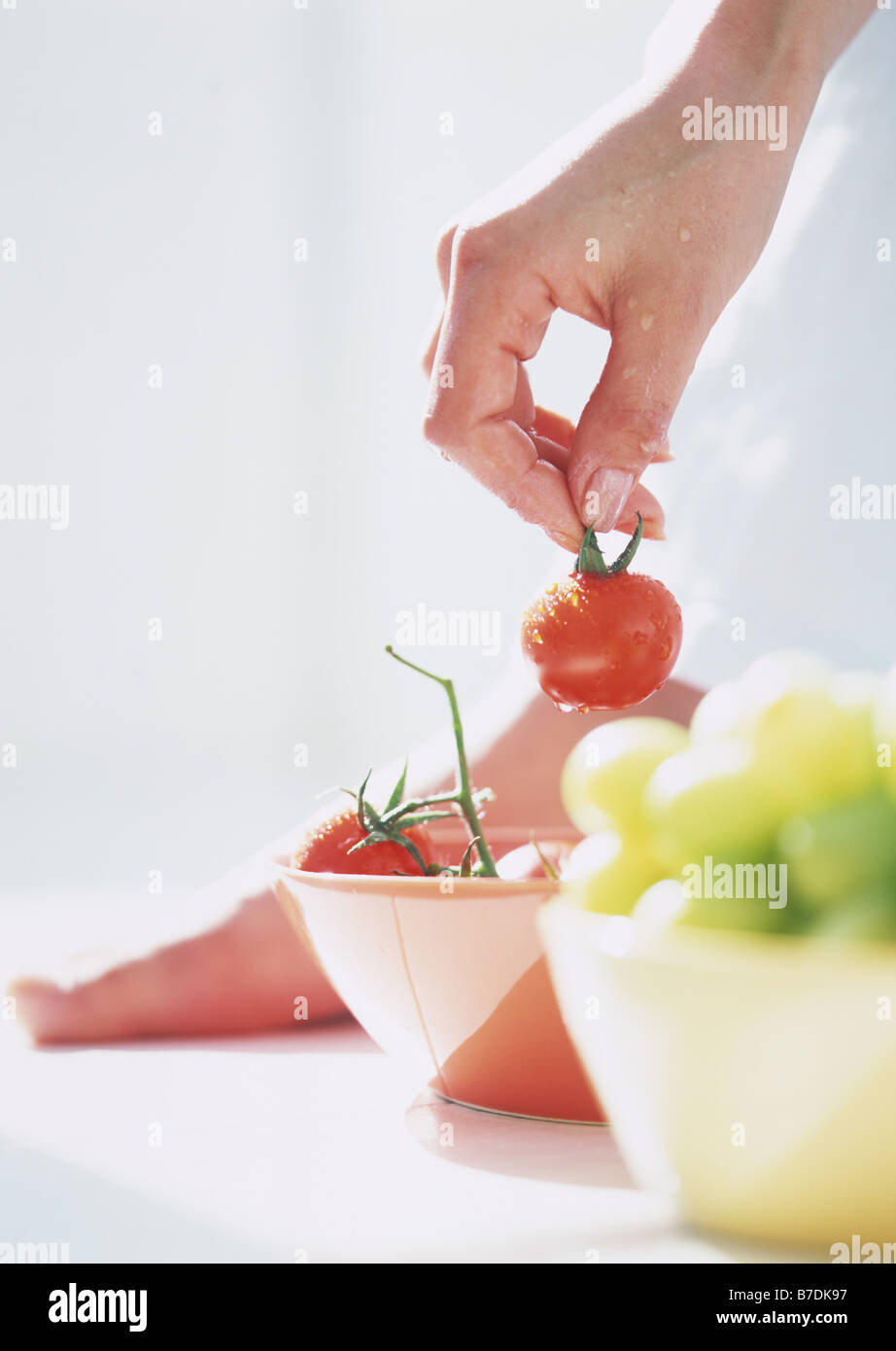 Pinch tomato plant hires stock photography and images Alamy