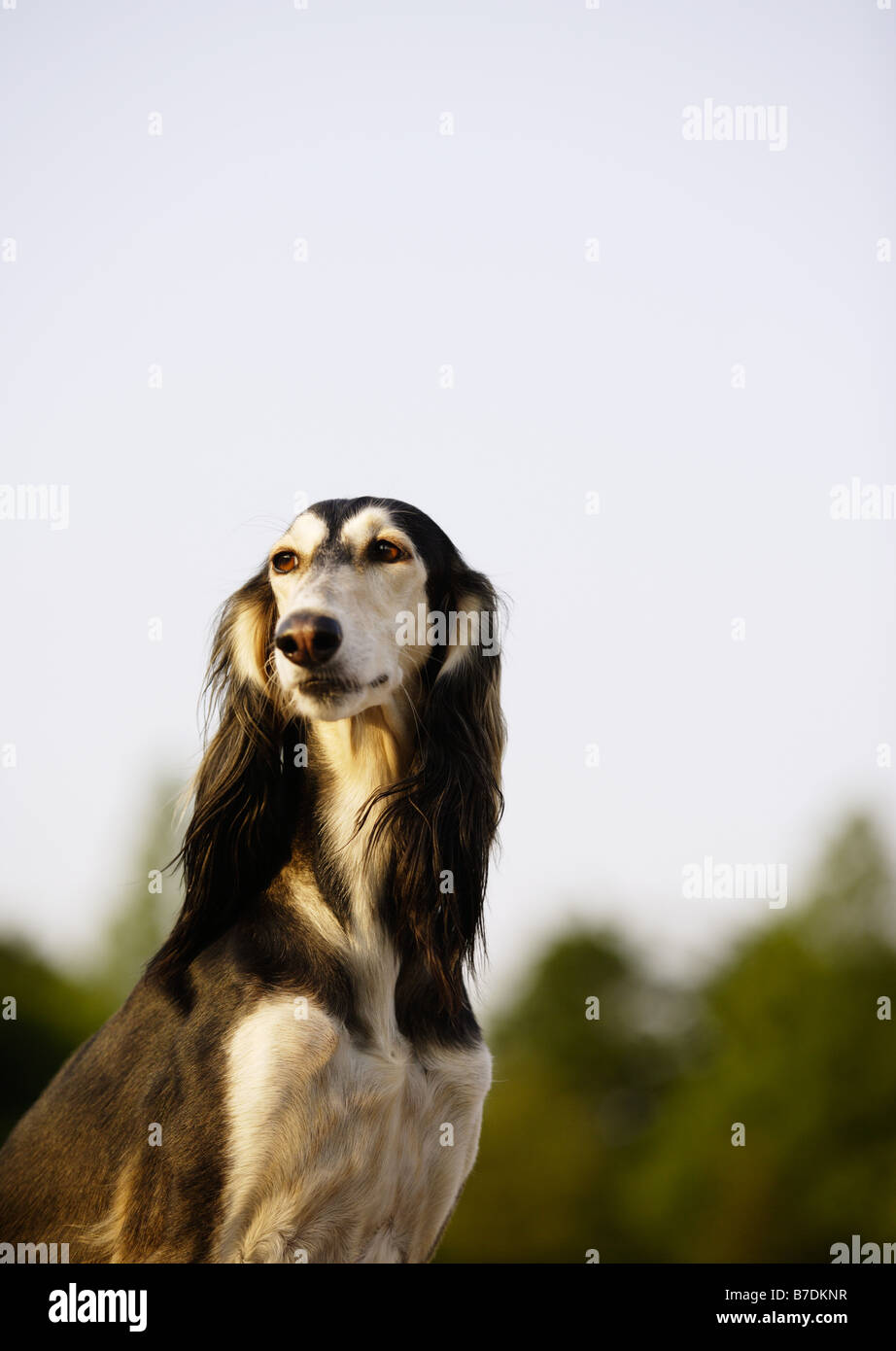 Turing color hi-res stock photography and images - Alamy