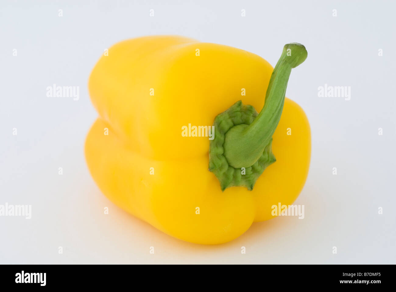CAPSICUM ANNUUM BELL PEPPER Stock Photo Alamy