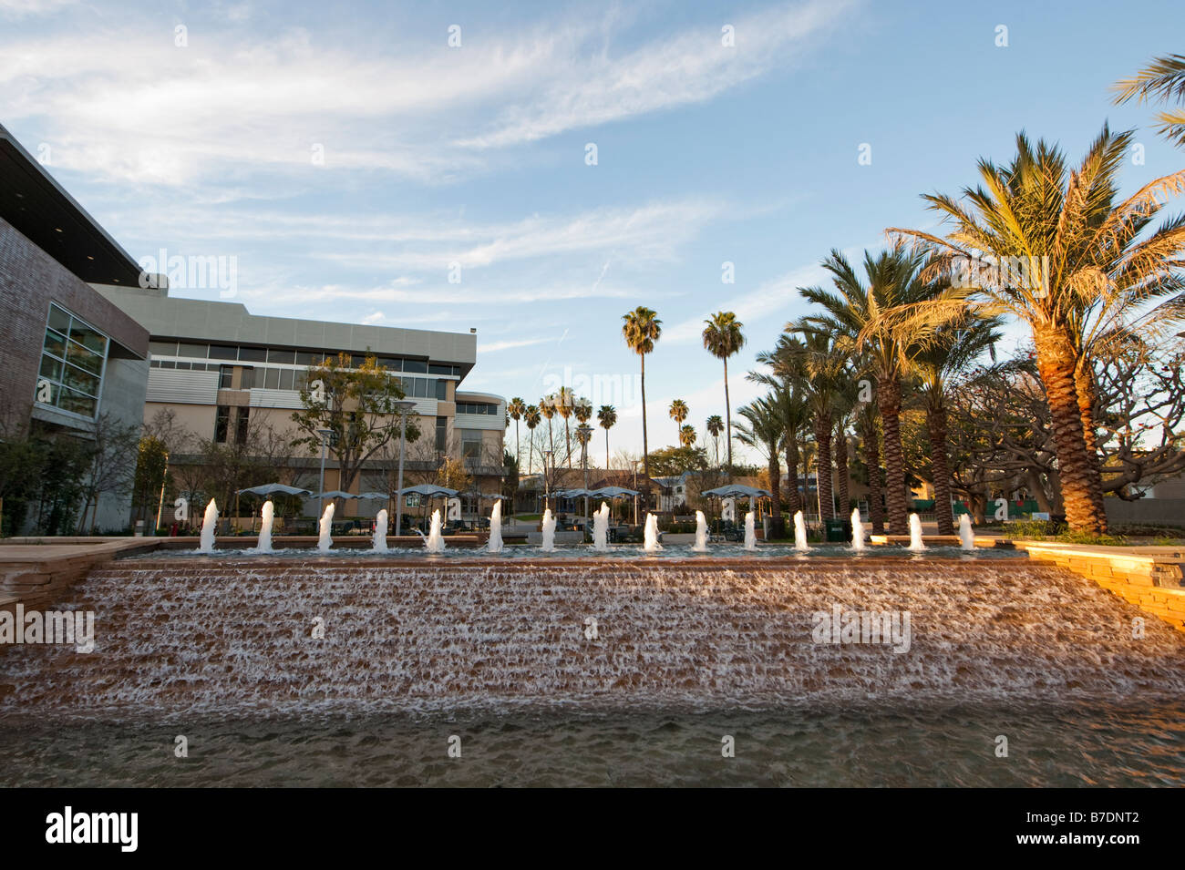 School with palm trees california hires stock photography and images