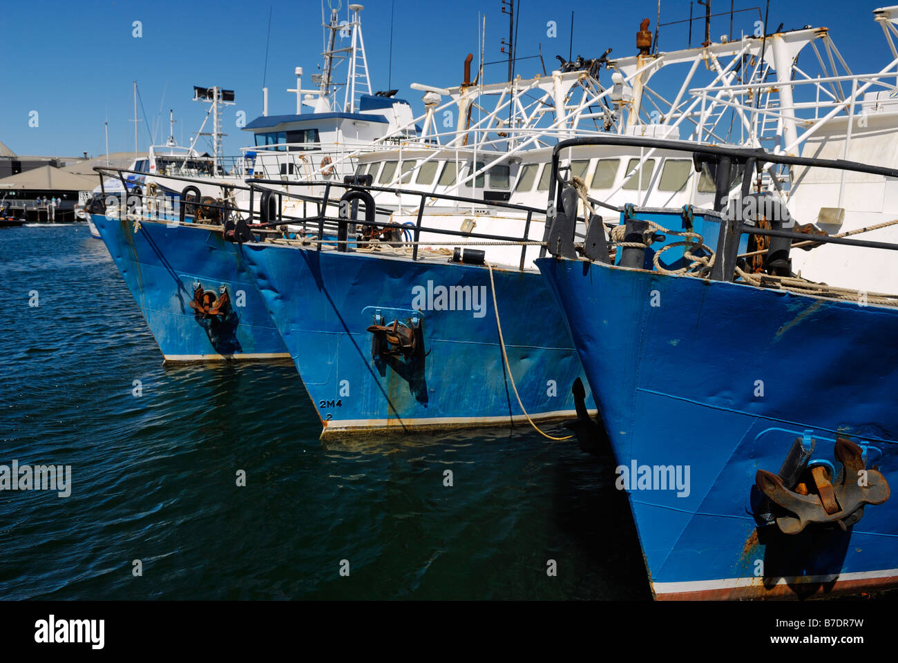 Fishing harbour Fremantle Western Australia Stock Photo Alamy