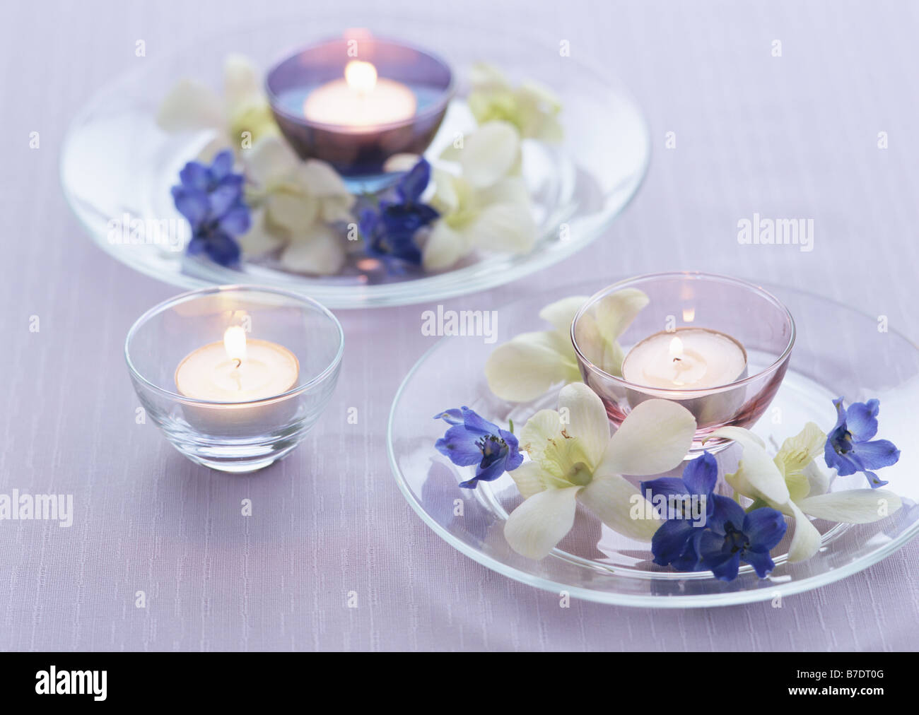 Lit floating candles and flowers Stock Photo Alamy