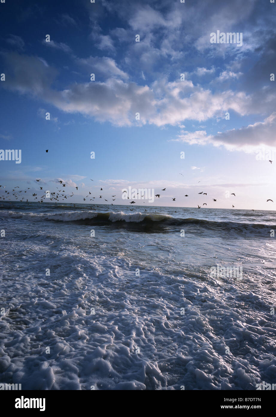 Samani japan hi-res stock photography and images - Alamy