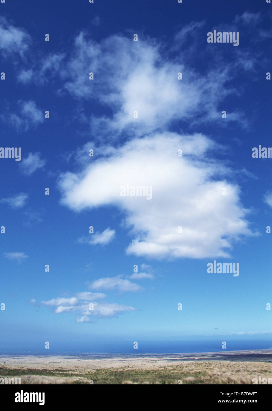 Grassy taste hires stock photography and