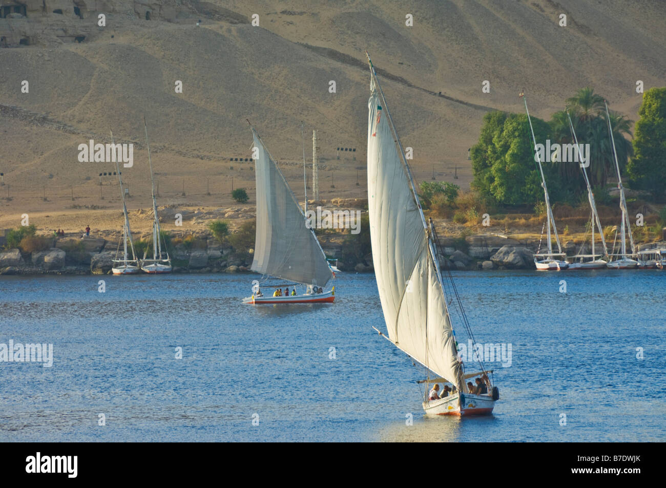 Traditional wooden sailing boats or Feluccas sailing on the river Nile at Aswan Egypt Middle East Stock Photo
