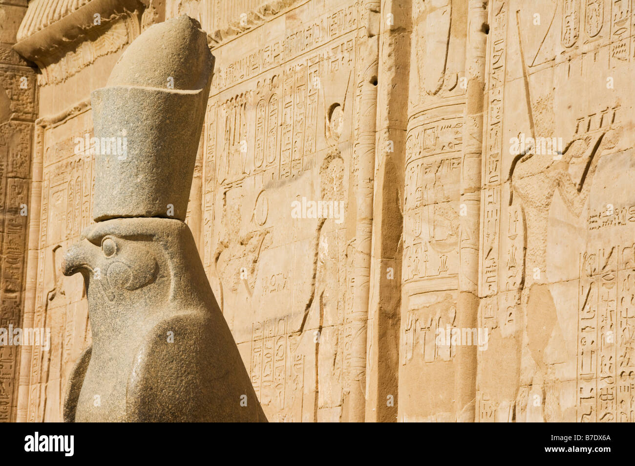 A statue of the Horus falcon outside the sandstone Temple of Horus at Edfu Egypt Middle East Stock Photo